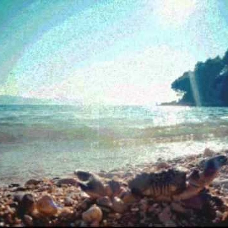 Monoid31