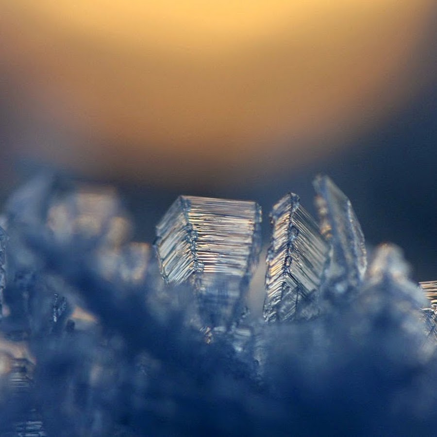 Icy Tales Network