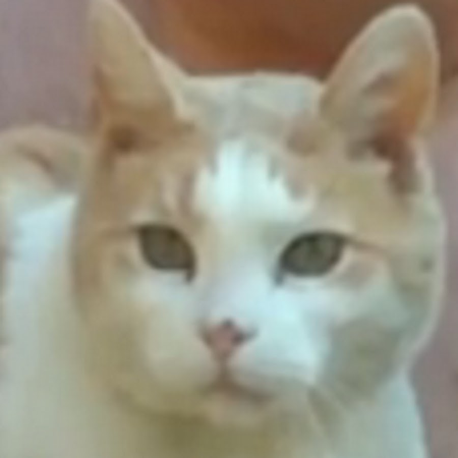 butterscotchagain