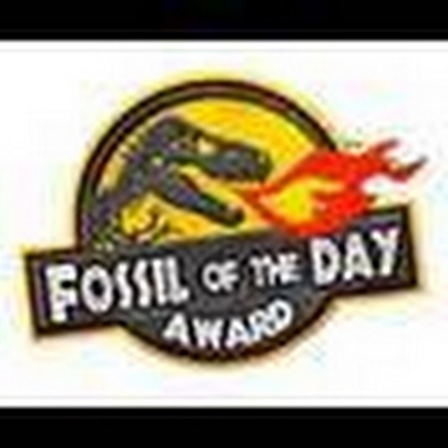 FossiloftheDayTV