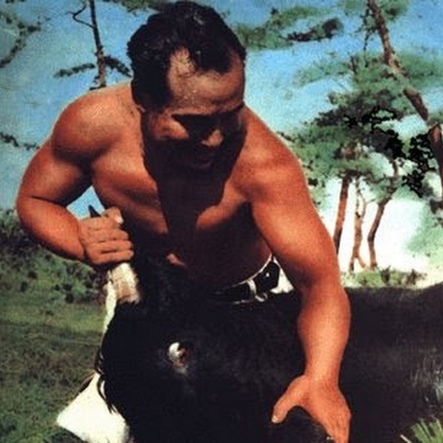 isshin dojo一心