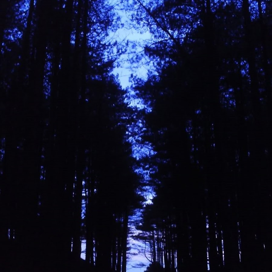 IntraSight