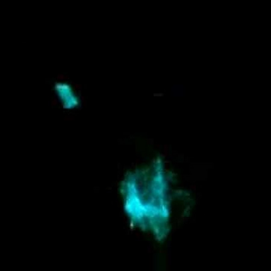 Morphomutation