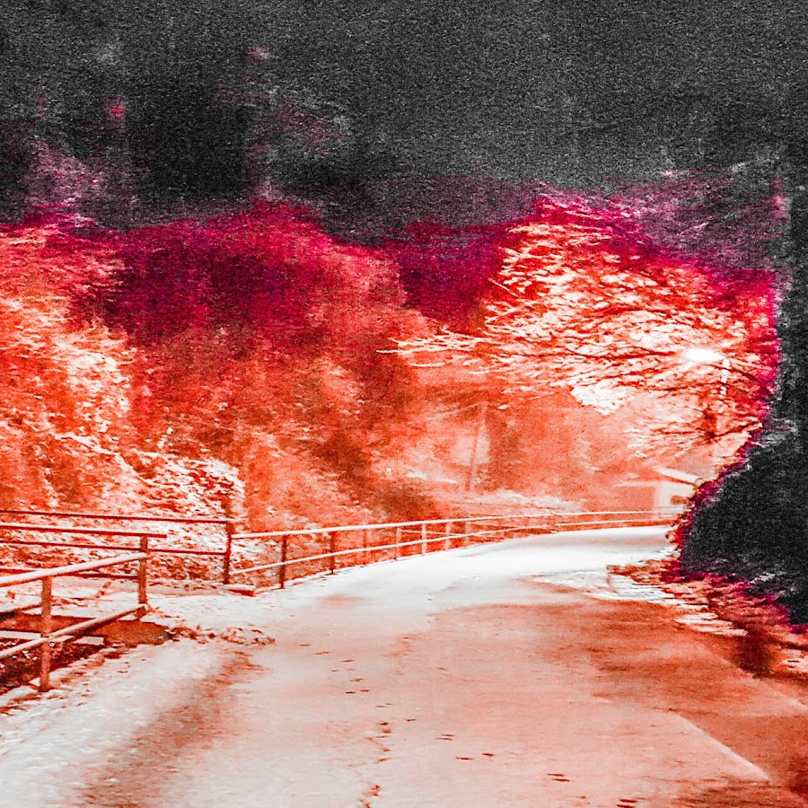 n00ze