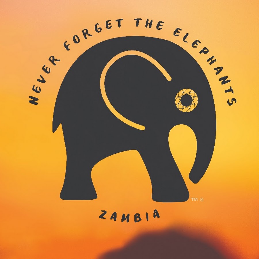 The Bushcamp Company | Mfuwe Lodge